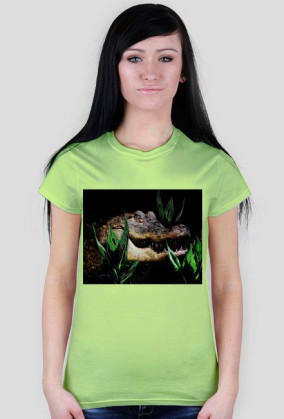 Aligator