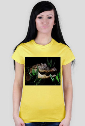 Aligator