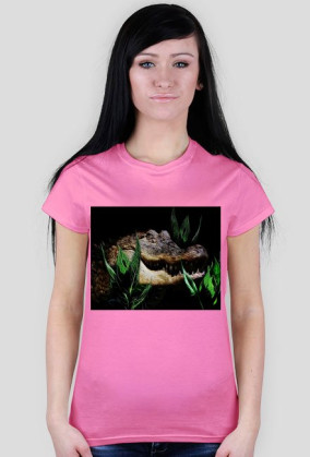 Aligator