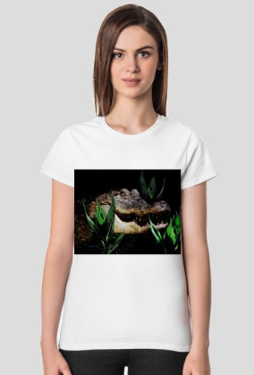 Aligator