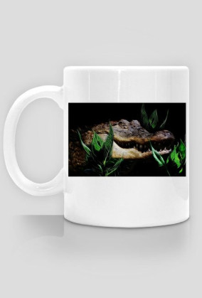 Aligator Kubek