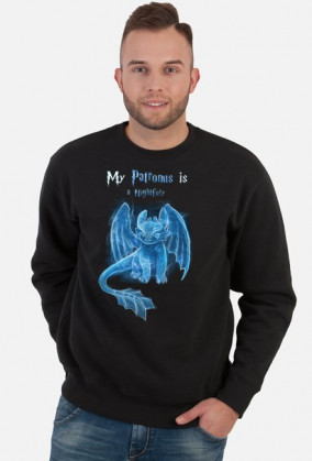 Bluza "Obrońca Nocna Furia"