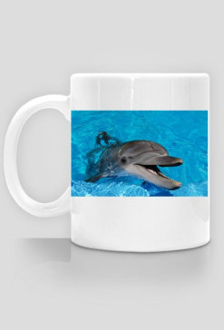 Delfin