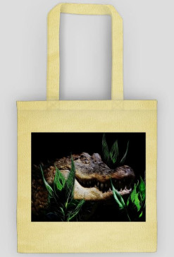 Aligator