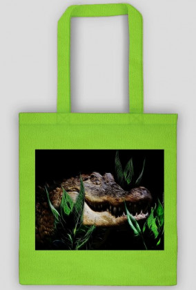Aligator