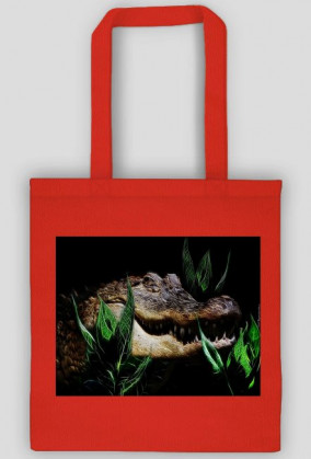 Aligator