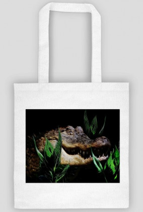 Aligator