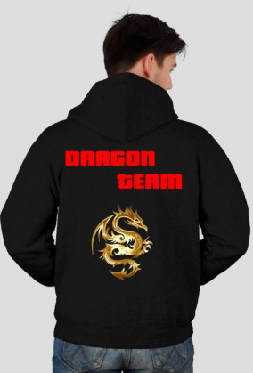 DRAGON TEAM