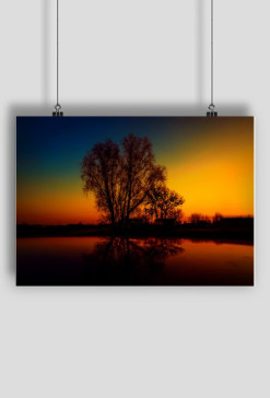 The colors of the sun.