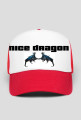 NICE DRAGON