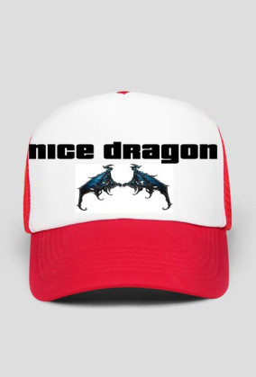 NICE DRAGON