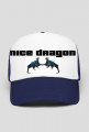 NICE DRAGON