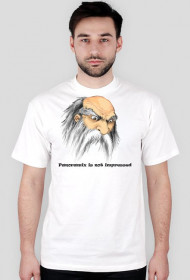 Panoramix t-shirt męski