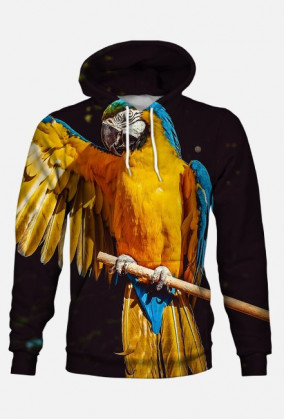 Bluza Męska Papuga
