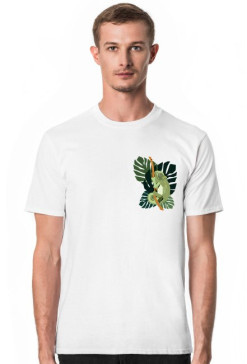 chameleon.monstera