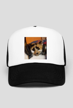 Czapka MusicCat