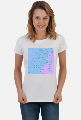 Koszulka z mapą Miami.