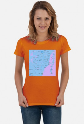 Koszulka z mapą Miami.