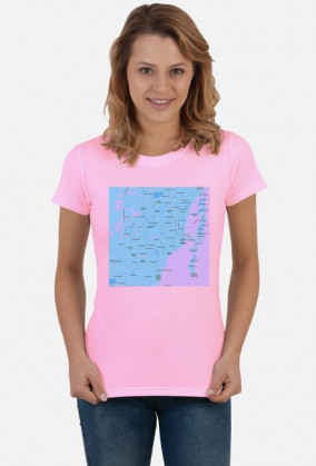 Koszulka z mapą Miami.