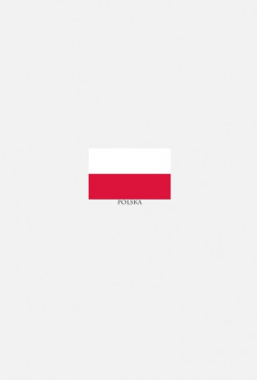 Koszulka z flagą Polski.