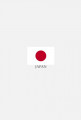 Koszulka z flagą Japonii.