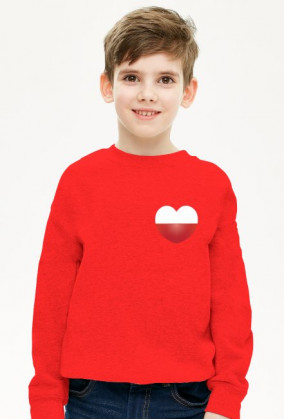 Bluza (serce)