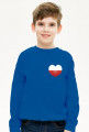 Bluza (serce)