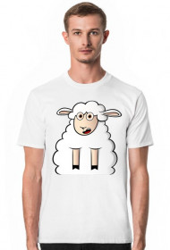 Surprised Sheep