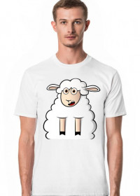 Surprised Sheep