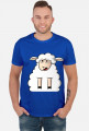 Surprised Sheep