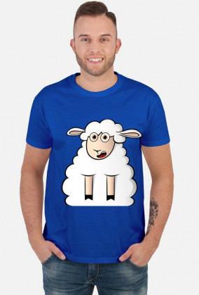 Surprised Sheep