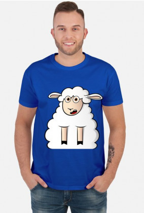 Surprised Sheep