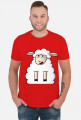 Surprised Sheep