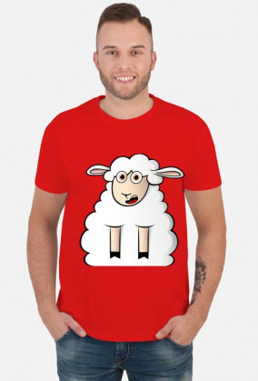 Surprised Sheep