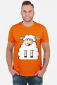 Surprised Sheep