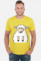 Surprised Sheep