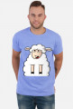 Surprised Sheep