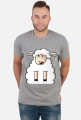 Surprised Sheep