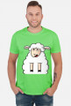 Surprised Sheep