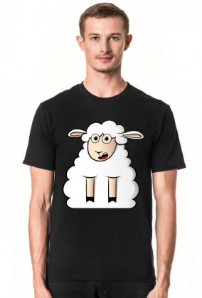 Surprised Sheep