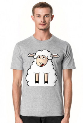Surprised Sheep