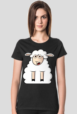 Surprised Sheep