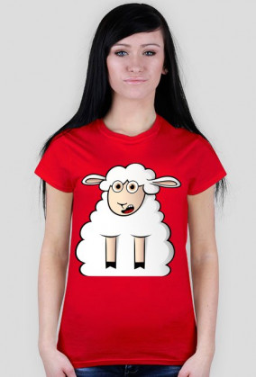 Surprised Sheep
