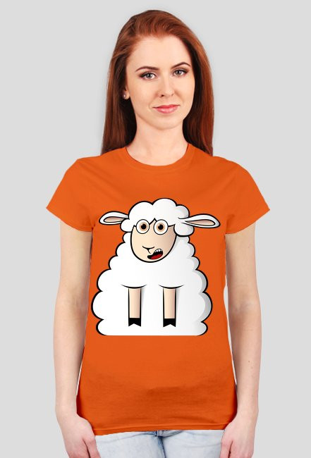 Surprised Sheep