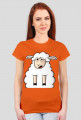 Surprised Sheep