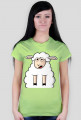 Surprised Sheep