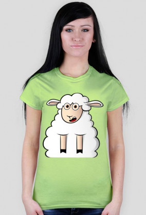 Surprised Sheep