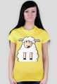 Surprised Sheep