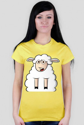 Surprised Sheep