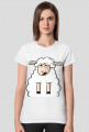 Surprised Sheep